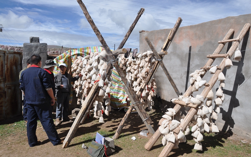 121636685468338634.jpeg 1檢查樣品.jpg