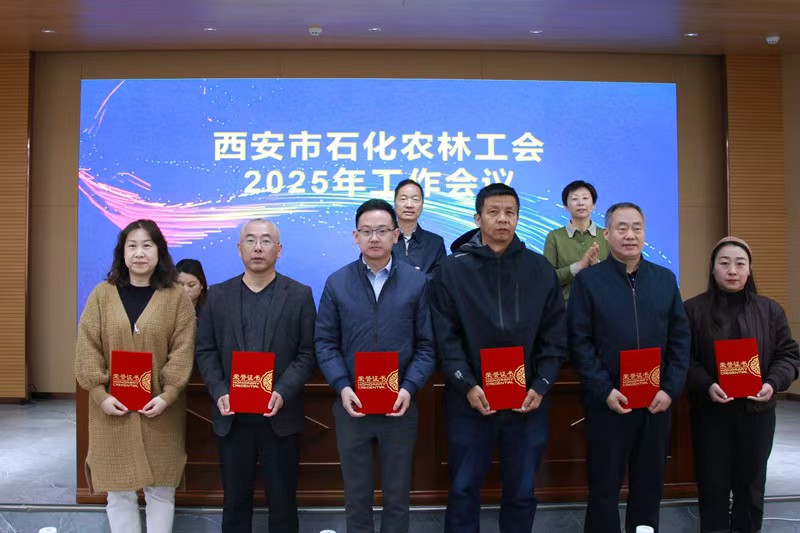 291743228279104292.jpeg 1.jpg